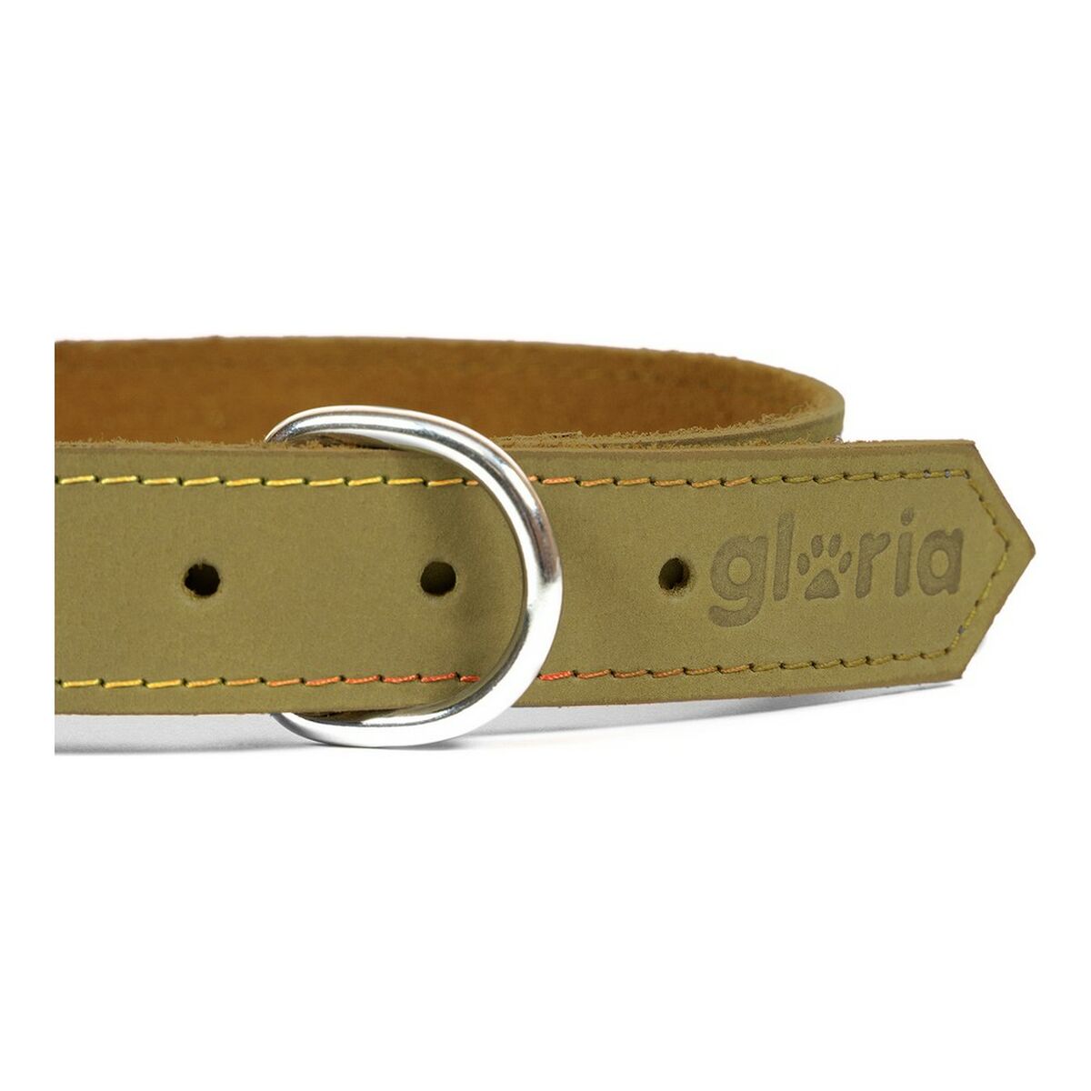 Ogrlica za pse Gloria Oasis Zelena (65 x 3 cm)